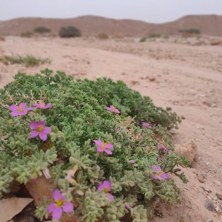 Desert Path Be'er Ora Luaran gambar