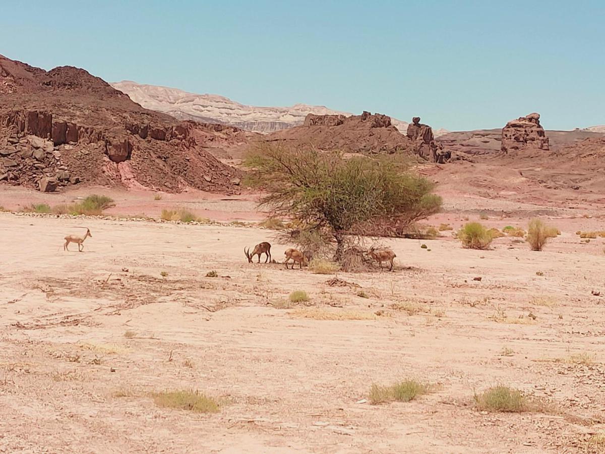 Desert Path Be'er Ora Luaran gambar